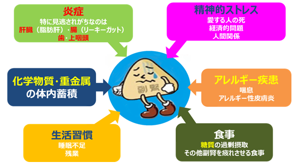 栄養療法の原因